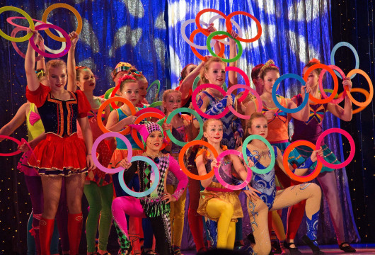 Цирк «Пируэт» из Череповца представит регион в финале Всероссийского фестиваля-конкурса любительских творческих коллективов