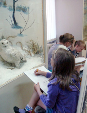 Выставка «Музей в красках» откроется в отделе природы Вологодского музея-заповедника