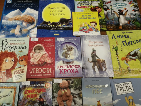 Вологодская областная детская библиотека собирает книги для юных читателей из Верховажского района