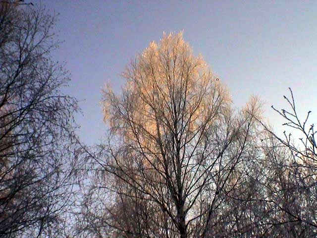 Женская рубаха Харовского района