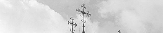 Detail 1  (168 Kb)