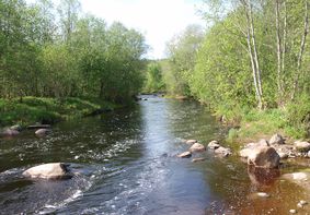 Презентация маршрута «К географическому центру Вологодской области»
