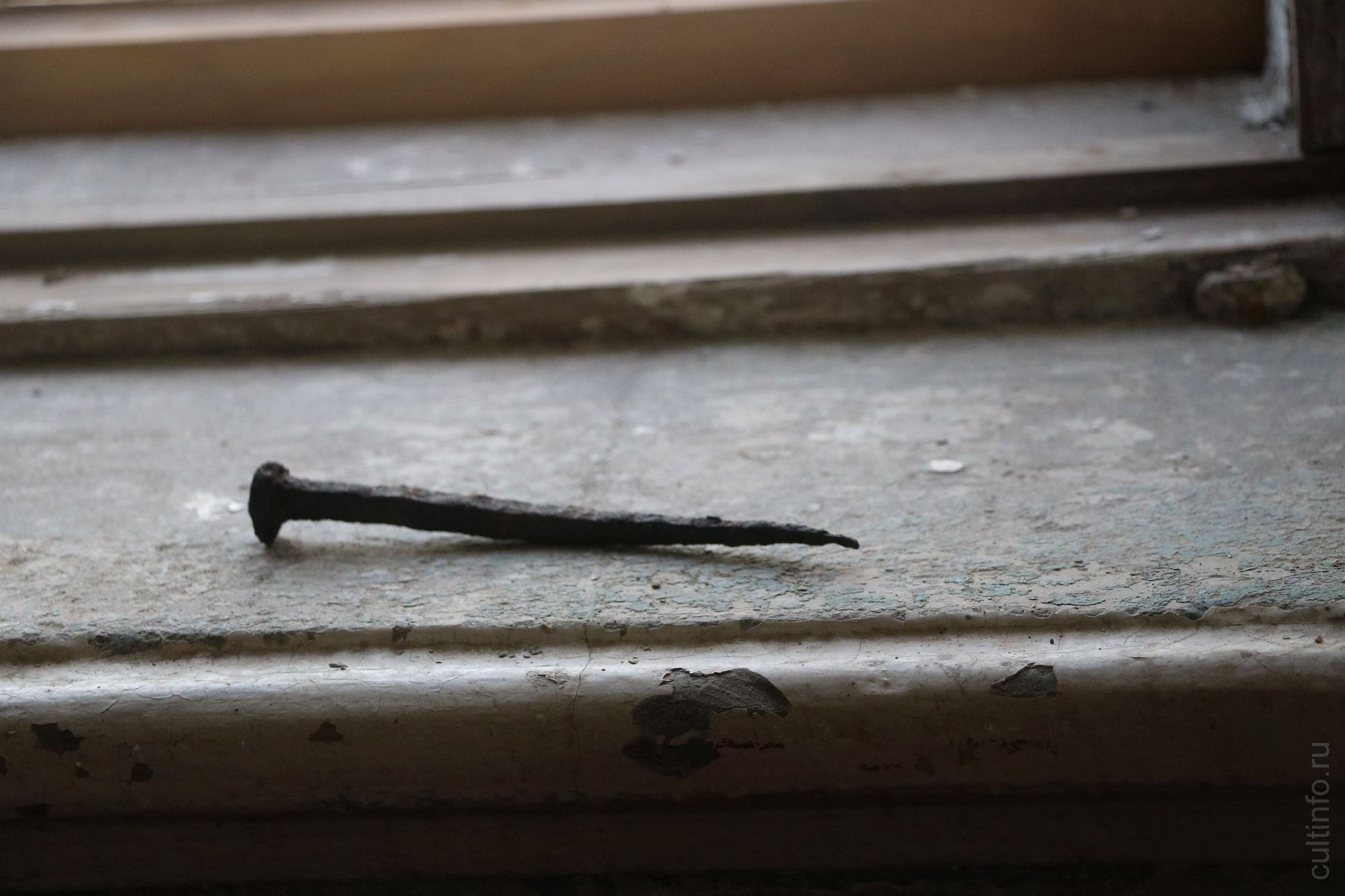 Находки в Доме Никуличева