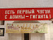 «Мой адрес – Советский Союз». Выставка к 100-летию со дня образования СССР открылась в Вологде