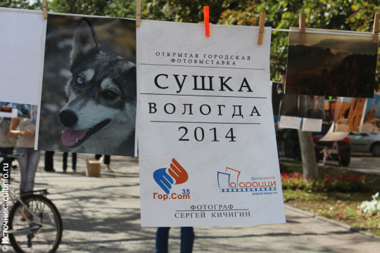 «Сушка» - 2014