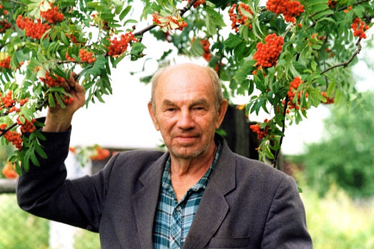 Интернет-викторина, посвященная писателю Ивану Полуянову, стартовала на Вологодчине