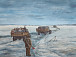 Вера Шашерина. Дорога жизни
