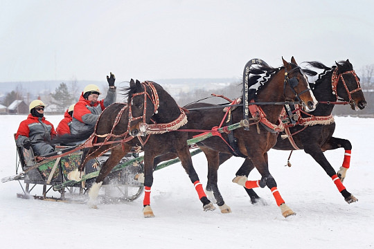 Старт Чемпионата России русских троек впервые пройдет в Вологодском районе