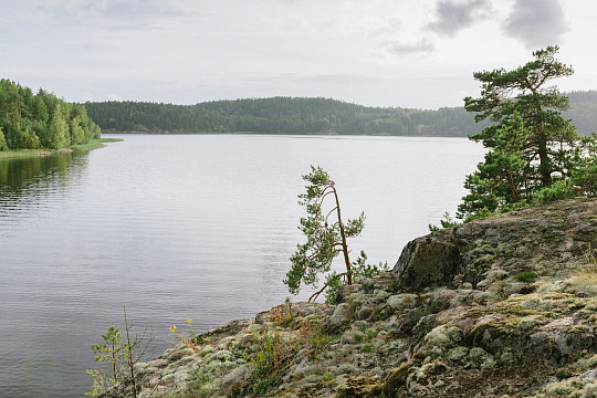 Ленинградской области посвятят сентябрьскую «Литературную минералогию»