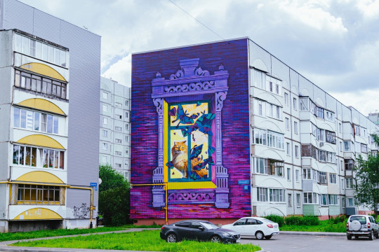 20 новых муралов украсили здания Вологды
