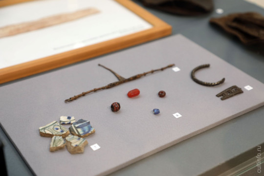 От кольев до игрушек: новый взгляд на историю Вологды через археологические находки представили в цоколе колокольни Софийского собора