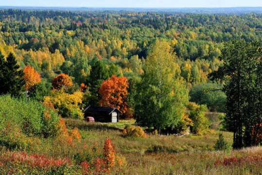 «Вологодский осенний фотовернисаж – 2014»