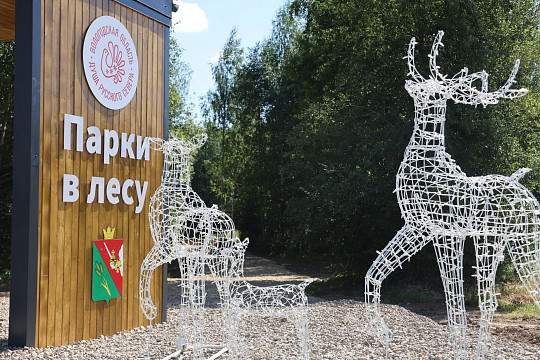В рамках проекта «Парки в лесу» рядом с архитектурно-этнографическим музеем «Семёнково» строят лыжную трассу и тропу здоровья