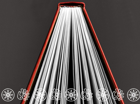 Книжная ярмарка нового формата «Вологодская страница» пройдет в Вологде: полная программа