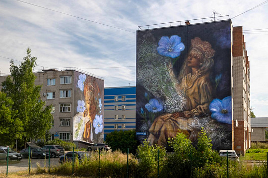 Более 40 муралов уже создали уличные художники в Вологде в рамках нового сезона фестиваля «Палисад»