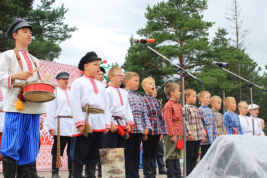 Световое шоу, фестиваль кукольных театров и концерты пройдут в День Нюксенского района 