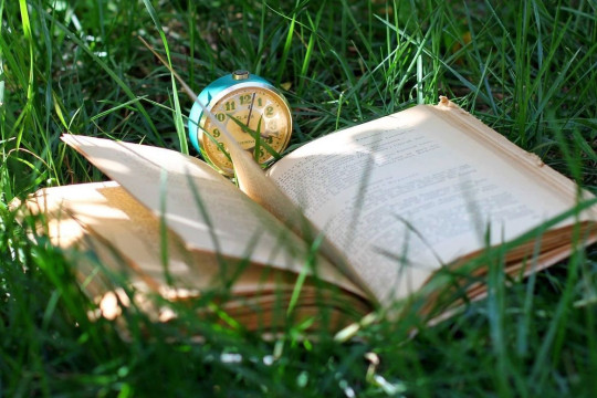 Идеи на выходные: «Блюз на веранде», Индонезия в Вологде, «КнигПикник», «Мир русской усадьбы», экскурсии по церкви Иоанна Предтечи и в Софийский собор 
