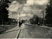 Улица Папанинцев. 1957 г. ГАВО. Ф. Р-5137. Оп. 1. Д. 100. Л. 55