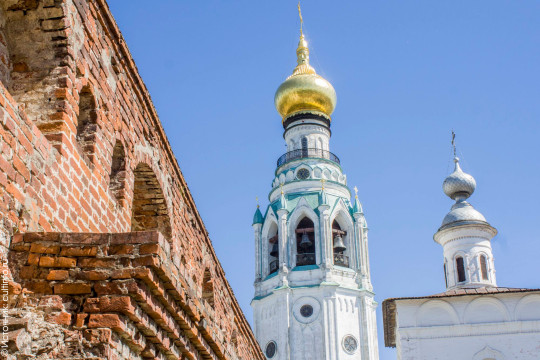 Горожане могут подарить Вологодскому музею рассаду и бесплатно попасть на колокольню