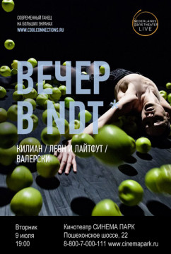 Нидерландский театр танца