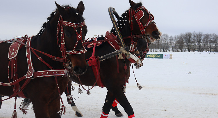  Всероссийский фестиваль «Русская Тройка» пройдет в деревне Ерофейка Вологодского округа 7 февраля