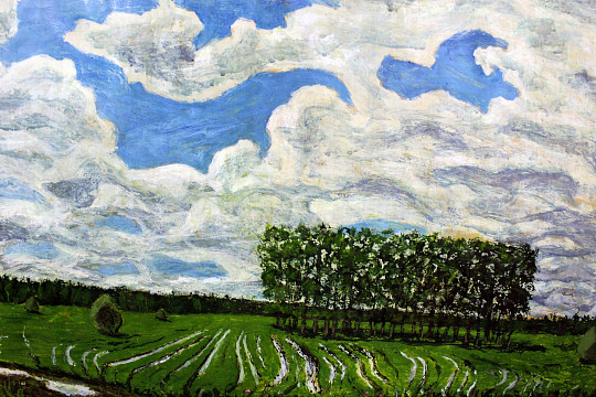 «За гранью возможного»: выставка уникального художника Владимира Набатова откроется в Вологде