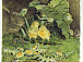 Кузанян Н. М. 1903 – 1999. Два цыпленка. 1980. Бумага, уголь, акварель.