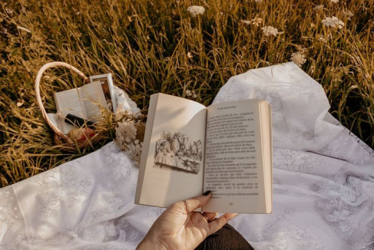 Открытая дискуссия «Вологда читающая» пройдет летом на фестивале «КнигПикник»