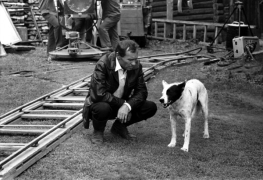 Памяти Василия Шукшина посвящен альманах «Светлые души»