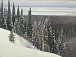 Александр Борисов. Зимний пейзаж. 1913