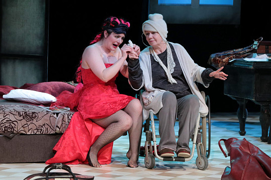 Спектакль Вологодского ТЮЗа «Как Зоя гусей кормила» смотрите онлайн прямо сейчас