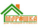 У тотемского Дома традиций и ремесел «Морошка» теперь есть логотип