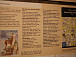 Год семьи в Музее-квартире В. И. Белова открыли выставкой «Мир детских книг Василия Белова: от рукописи до читателя»