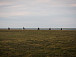 Фото ukhta-tr.gazprom.ru