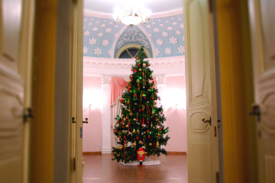 В рождественскую сказку попадут юные гости усадьбы Брянчаниновых