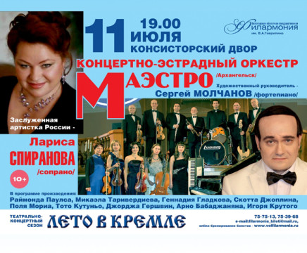 Выступление концертного ансамбля «Маэстро»