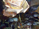 Выставка Валентины Шапкиной, 2011 год