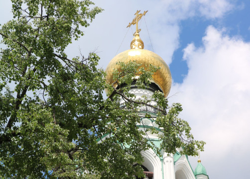 Продолжается прием заявок на участие в конкурсе на соискание государственных грантов Вологодской области в сфере культуры