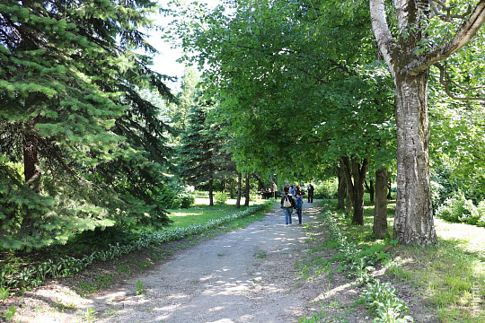 Cultinfo Weekend: «Молочные традиции» в Череповце, 3D-выставка в Кириллове, выходной в «Семёнково», а также живопись, театр и чай с десертом