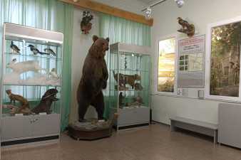 Тарногский музей традиционной народной культуры Тарногский музей традиционной народной культуры