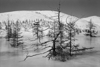 Фото Эмиля Гатауллина