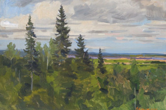 Вид на Северную Двину