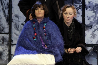 «Вишневый сад»