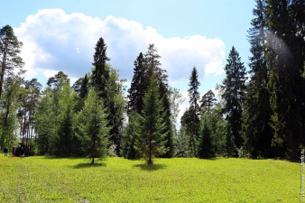 Приусадебный парк