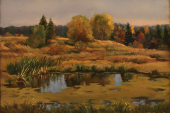 Заросший пруд, 2012