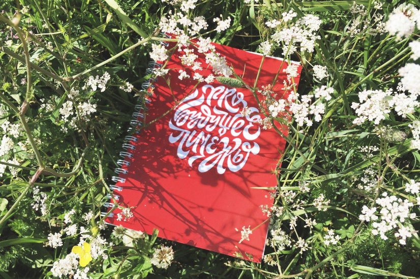 Фестиваль «PRO будущее Пинежья». Архангельская область. Фото instagram.com/mishapriem/