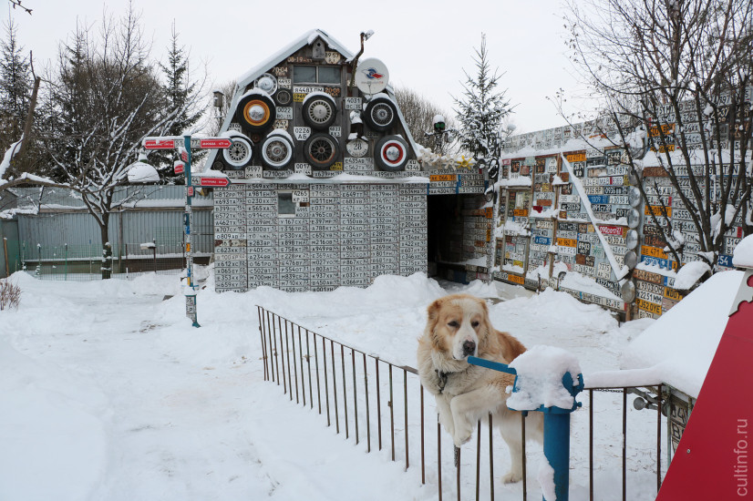 Багира охраняет свое «царство».