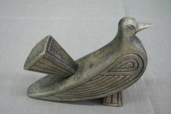 Птица. Фото из личного архива