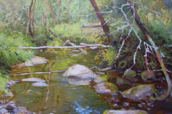 Речная речка Талица