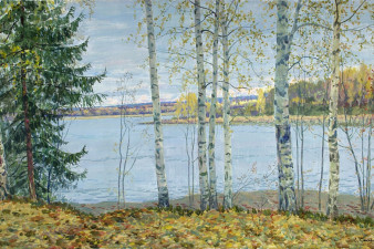 Октябрь. Бородаевское озеро. 2005 Октябрь. Бородаевское озеро. 2005